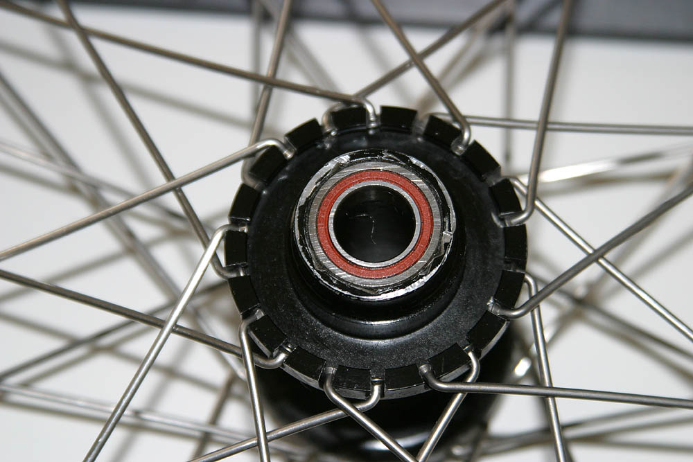 Monty rear hub bearings Observed Trials